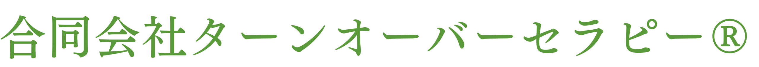 合同会社ターンオーバーセラピー®️